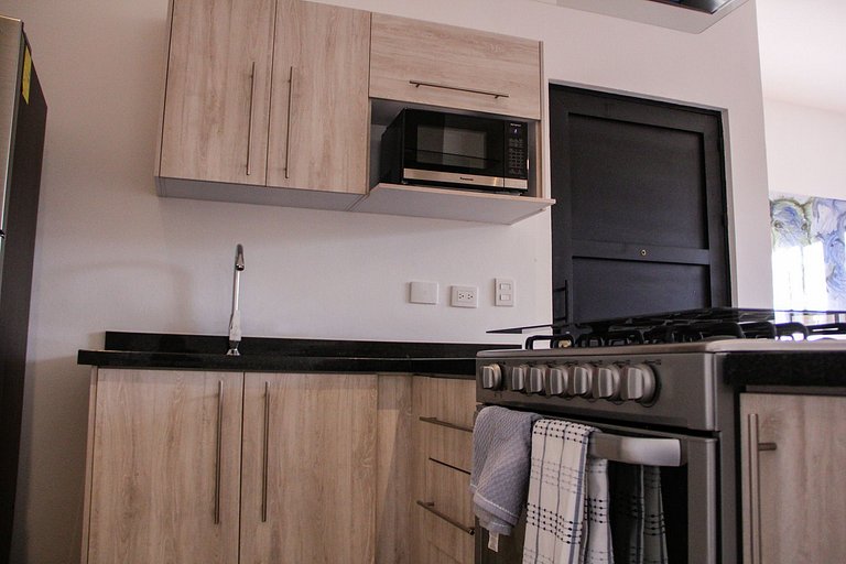 Depa con Roof Garden Privado en SMA