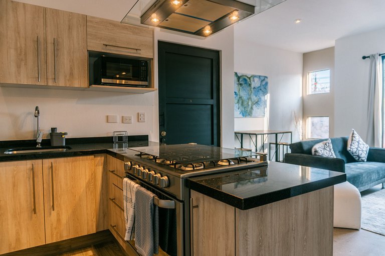 Depa más Roof Privado San Miguel de Allende